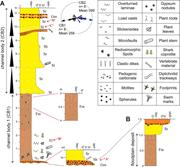 Third thumbnail for: An Abandoned-Channel Fill With Exquisitely Preserv...