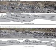 Second thumbnail for: The Co-Occurence of Trypanites and Glossifungites ...