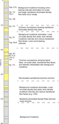 Third thumbnail for: Density-Flow Deposition In A Fresh-Water Lacustrin...