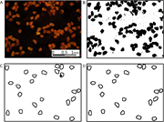 Third thumbnail for: Distinguishing Depositional Setting For Sandy Depo...