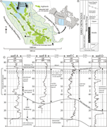 Second thumbnail for: Three-Dimensional Reconstruction of Meander-Belt E...