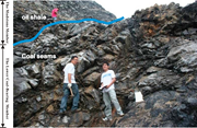 Third thumbnail for: Diverse Sedimentary Conditions During Deposition O...