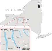 Second thumbnail for: Association Between Wave- and Current-aided Hyperp...