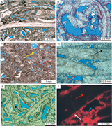 Third thumbnail for: Influence of Diagenesis On the Quality of Lower Cr...
