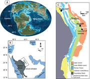 First thumbnail for: Impact of Upwelling On Heterozoan, Biosiliceous, a...