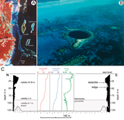 First thumbnail for: A Giant Underwater, Encrusted Stalactite from the ...