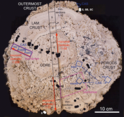 Third thumbnail for: A Giant Underwater, Encrusted Stalactite from the ...