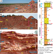 Third thumbnail for: Pedogenic Mud Aggregates Preserved In A Fine-Grain...