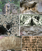 Third thumbnail for: Seasonal Pattern In the High-Elevation Fluvial Tra...