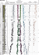 Second thumbnail for: The Transformation of Sediment Into Rock: Insights...