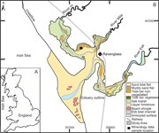 First thumbnail for: Clay-Coated Sand Grains In Petroleum Reservoirs: U...
