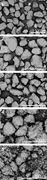 Second thumbnail for: Clay-Coated Sand Grains In Petroleum Reservoirs: U...