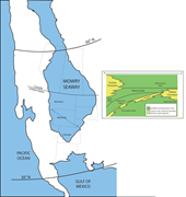 First thumbnail for: Silica Diagenesis, Porosity Evolution, and Mechani...