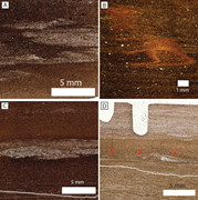 Second thumbnail for: Silica Diagenesis, Porosity Evolution, and Mechani...