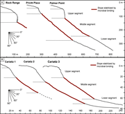 Second thumbnail for: THE IMPORTANCE OF MICROBIAL BINDING IN NEOGENE–QUA...