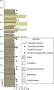 Second thumbnail for: CONTINENTAL PALEOTEMPERATURES FROM AN EARLY CRETAC...