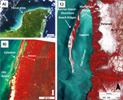 Second thumbnail for: NEARSHORE INFLUENCES OF UPWELLING, WAVES, AND CURR...