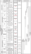 Third thumbnail for: DEVELOPMENT OF PHYLLOID-ALGAL CARBONATE MOUNDS DUR...