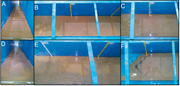 Third thumbnail for: IMPRINTS IN SILICA GRAINS INDUCED DURING AN OPEN-C...