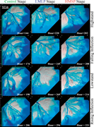 Third thumbnail for: Scaling the Response of Deltas To Relative-Sea-Lev...