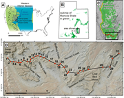 First thumbnail for: Hierarchical Architecture of Sequences and Boundin...