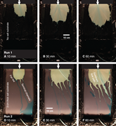 Third thumbnail for: The Effect of A Pre-Deposited Mobile Substrate On ...