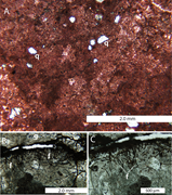 Third thumbnail for: PETROGRAPHY AND ENVIRONMENTAL INTERPRETATION OF TU...