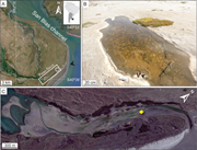First thumbnail for: Field Observations On the Evolution of Reticulate ...