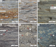Third thumbnail for: Mixed-energy Process Interactions Read from a Comp...