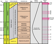 Second thumbnail for: Composite Particles in Mudstones: Examples from th...
