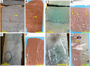 Second thumbnail for: Impact of Stylolitization On Fluid Flow and Diagen...
