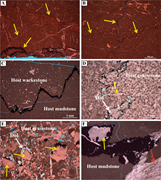 Third thumbnail for: Impact of Stylolitization On Fluid Flow and Diagen...
