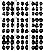 Third thumbnail for: Quantifying Roundness of Detrital Minerals By Imag...