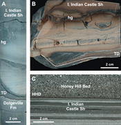 Third thumbnail for: Xrf-based Chemostratigraphy Between and Across Two...