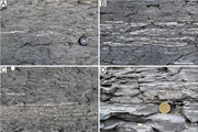 Second thumbnail for: Displacive Widening of Calcite Veins in Shale: Ins...