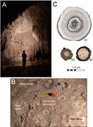 Second thumbnail for: A New Unified Model For Cave Pearls: Insights from...