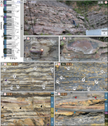 Second thumbnail for: Mixed Process, Humid-tropical, Shoreline–shelf Dep...