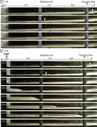 Second thumbnail for: Sedimentary Processes and the Distribution of Tsun...