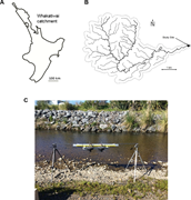 First thumbnail for: Assessing Intra-Bar Variations in Grain Roughness ...