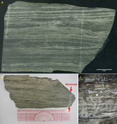 First thumbnail for: Study of an Ordovician Carbonate with Alternating ...