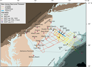 First thumbnail for: Filter Or Conveyor? Establishing Relationships Bet...