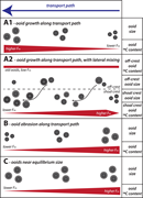 First thumbnail for: Active Ooid Growth Driven By Sediment Transport in...