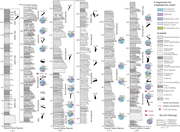 Second thumbnail for: Closure of the Bangong–Nujiang Tethyan Ocean in th...