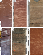 Second thumbnail for: Origin and distribution of dolomite in Permian Rot...