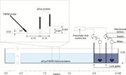 First thumbnail for: Dynamics and deposition of sediment-bearing multi-...