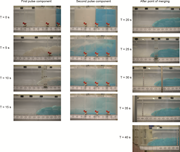 Second thumbnail for: Dynamics and deposition of sediment-bearing multi-...
