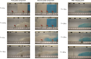 Third thumbnail for: Dynamics and deposition of sediment-bearing multi-...