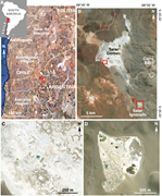 First thumbnail for: The Physical and Chemical Sedimentology of Two Hig...