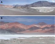 Second thumbnail for: The Physical and Chemical Sedimentology of Two Hig...