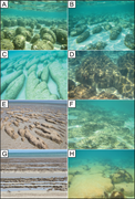 Third thumbnail for: Stromatolite Provinces of Hamelin Pool: Physiograp...